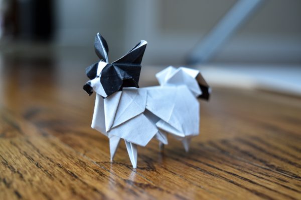 Origami Animals (and other living things)