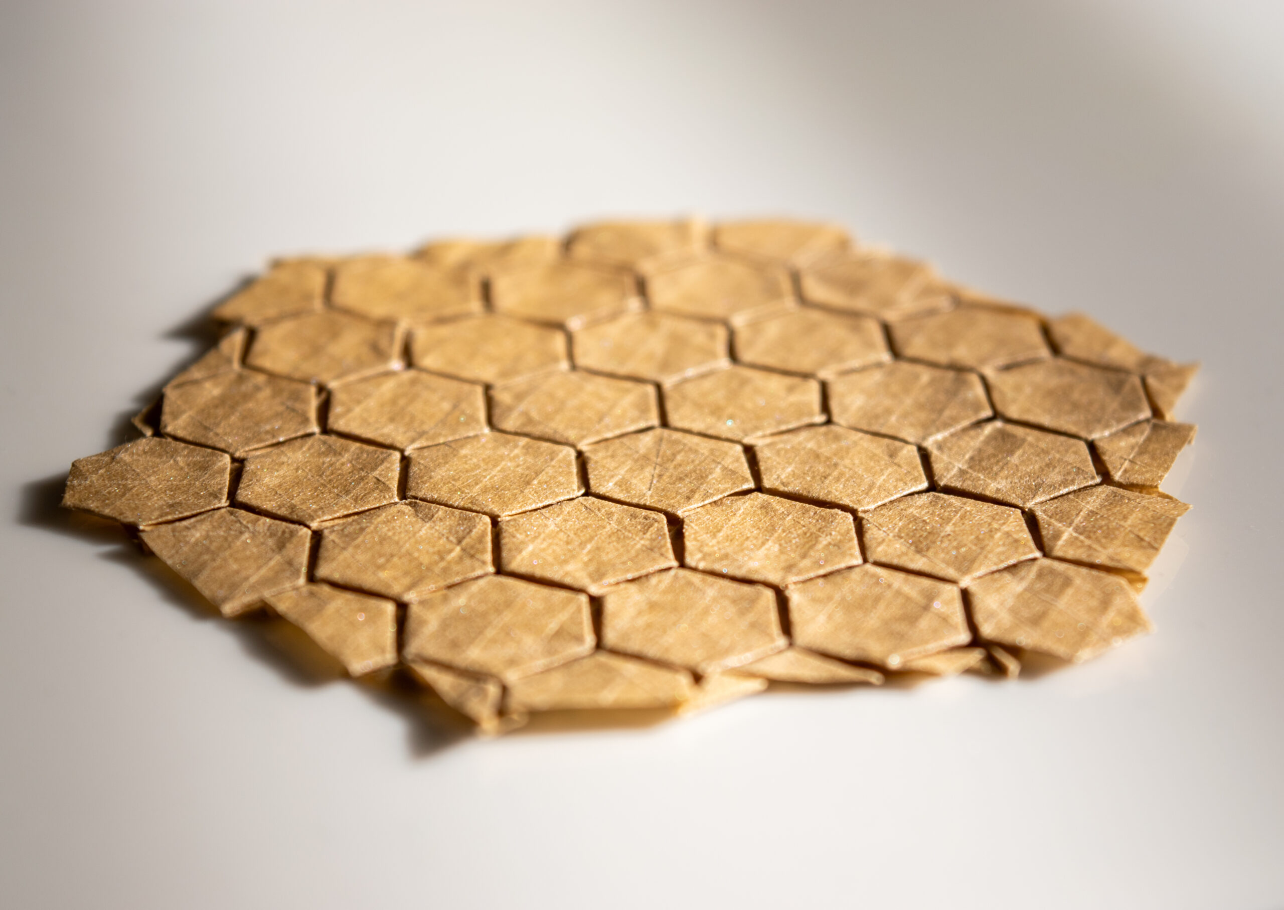 Flagstone Tessellation (Joel Cooper)