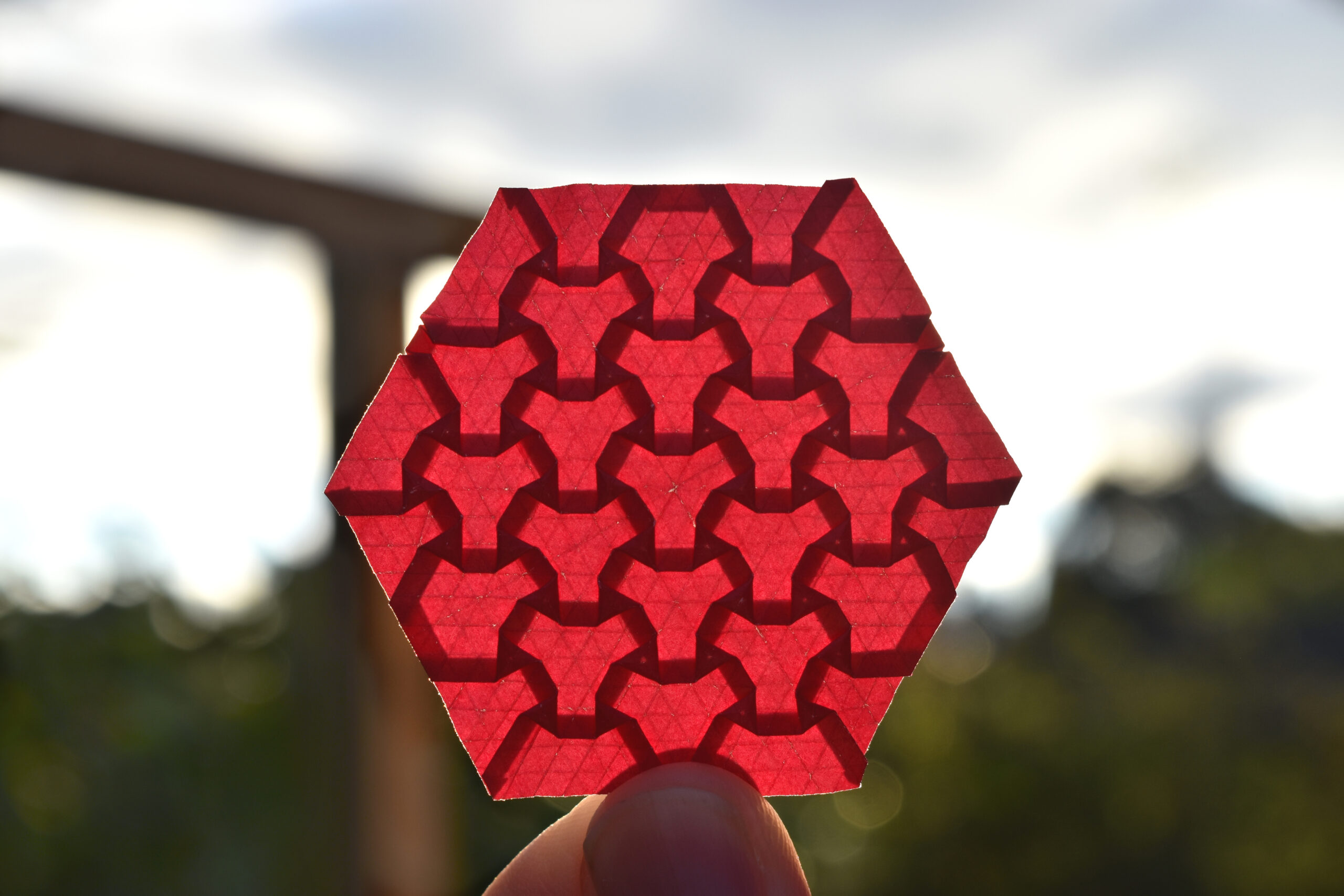 Tiled Hexagons micro tessellation (Eric Gjerde)